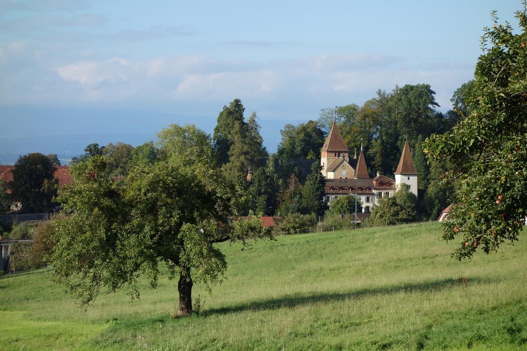 Schloss Muenchenwiler Murten Exteriör bild
